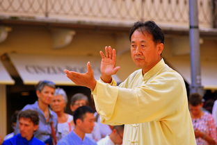 海洋之心再燃——孙杨勇夺短道速滑金牌！深度解读他的最新运动征程与科技赋能下的深远影响