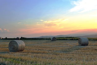 科技在现代农业中的重要性与应用  第1张 科技在现代农业中的重要性与应用  第1张