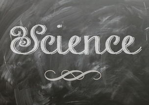 高科技时代的英语教育,机遇与挑战  第1张 高科技时代的英语教育,机遇与挑战  第1张