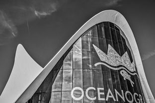 探索未来,科技资讯APP最新版本下载官网全解析  第1张 探索未来,科技资讯APP最新版本下载官网全解析  第1张