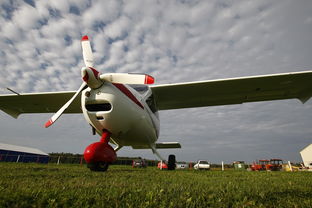 2008年北京奥运会,科技元素的辉煌展现  第1张 2008年北京奥运会,科技元素的辉煌展现  第1张