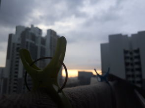 科技融入生活,高中生的视角  第1张 科技融入生活,高中生的视角  第1张