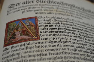 河南科技大学英语语言文学考研,探索学术之路  第1张 河南科技大学英语语言文学考研,探索学术之路  第1张