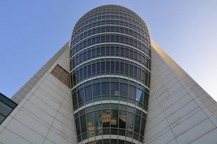 河南科技大学外国语言文学类，培养跨文化交流的桥梁  第1张