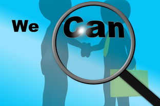 科技应用领域的领先股票公司概览  第1张 科技应用领域的领先股票公司概览  第1张