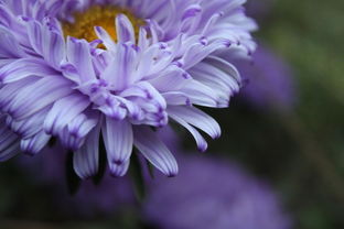 科技,编织美好生活的织锦  第1张 科技,编织美好生活的织锦  第1张