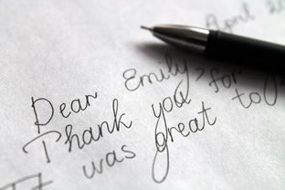 河南科技大学英语考研,策略、资源与备考指南  第1张 河南科技大学英语考研,策略、资源与备考指南  第1张