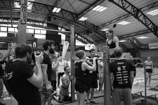 河南科技大学应用技术学院,培养新时代应用型人才的摇篮  第1张 河南科技大学应用技术学院,培养新时代应用型人才的摇篮  第1张