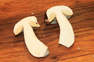 菌类知识百科：从蘑菇识别到安全食用的完整指南，让你轻松掌握菌类奥秘