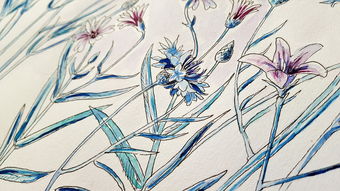 科普画画大全：轻松掌握科学与艺术融合的创作技巧，让学习变得直观有趣