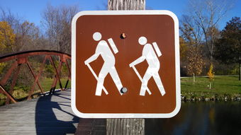 日常生活科普知识资料大全:轻松解决健康、安全、消费困惑,让生活更便捷快乐