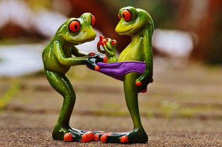 科普知识集锦：轻松激发孩子好奇心，让科学学习充满乐趣