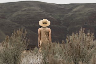 老胡是哪里人？揭秘绍兴水乡成长背景与江南文化对其人生的深远影响